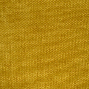 CIMG3217 VIVACITY MUSTARD